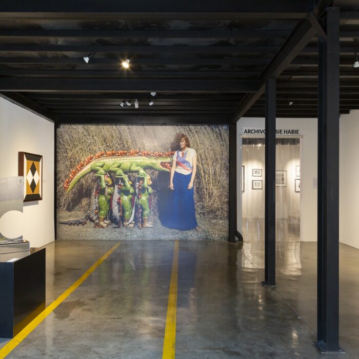 Margarita Azurdia: A Universe, Documented