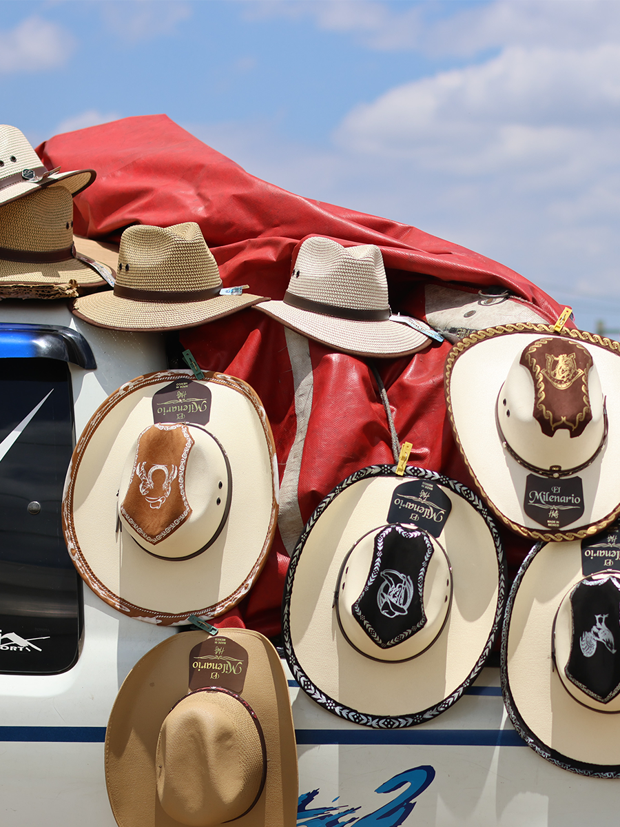 Masculinidades en disputa