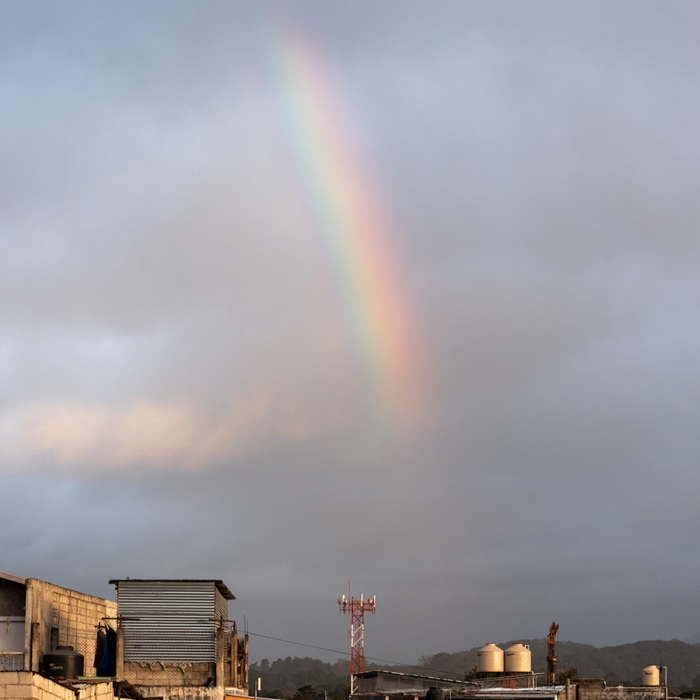 Mobile Photography: Editing and Post-Production