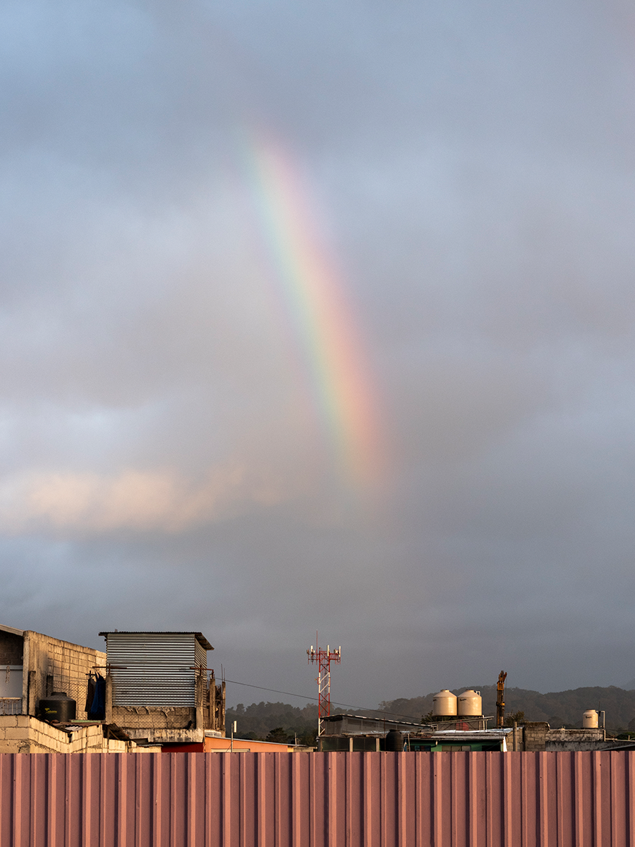 Mobile Photography: Editing and Post-Production